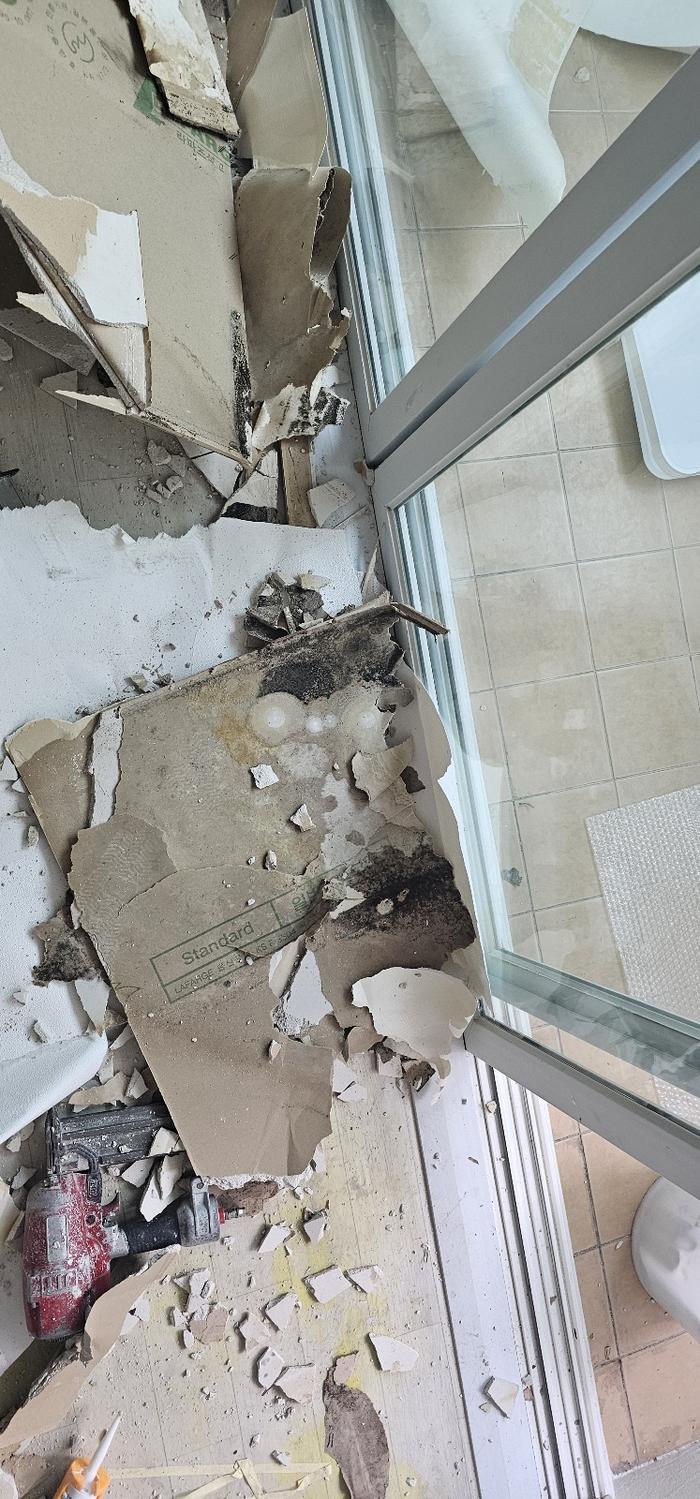 29157_copy_31116_3695294320_I3sUGMiL_35f00d6ab165cc204060b120ba7feec05ef9c91d.jpg 이미지크게보기