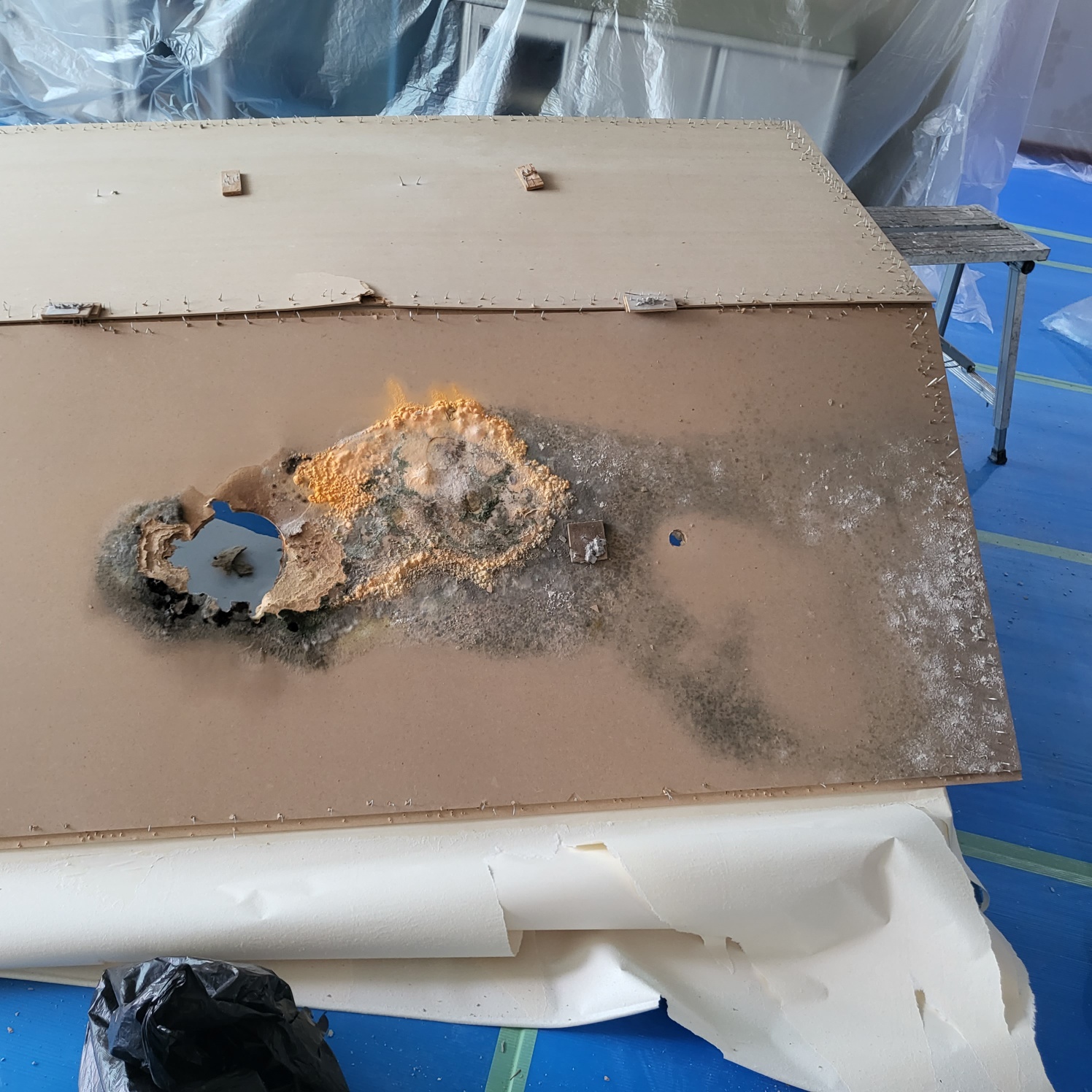 3695294320_05coj1EM_9b9927d4e97d40d6bafcd9ef194cac9c8c0b8d43.jpg 이미지크게보기