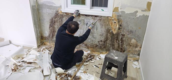 3695294320_0qtPubyc_7683d373ebbc00ecdcee8ffcfdb64adb1109fc5d.jpg 이미지크게보기