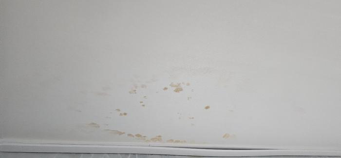 3695294320_1HouZAgB_5f057bb968b8e71e4975b8daed71961f139389da.jpg 이미지크게보기