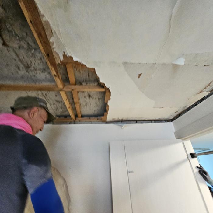 3695294320_1NgLI3qU_a1e673bd23242a71709b9812c4fb19b6ca10d48a.jpg 이미지크게보기