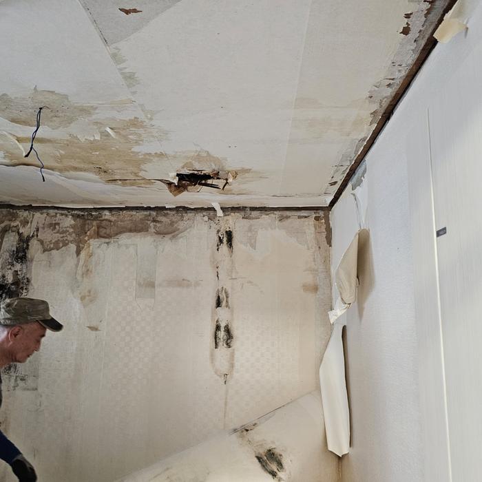 3695294320_1UBCxja3_4e7476f0d064ac7bd4a4db36785a582235f4ac40.jpg 이미지크게보기