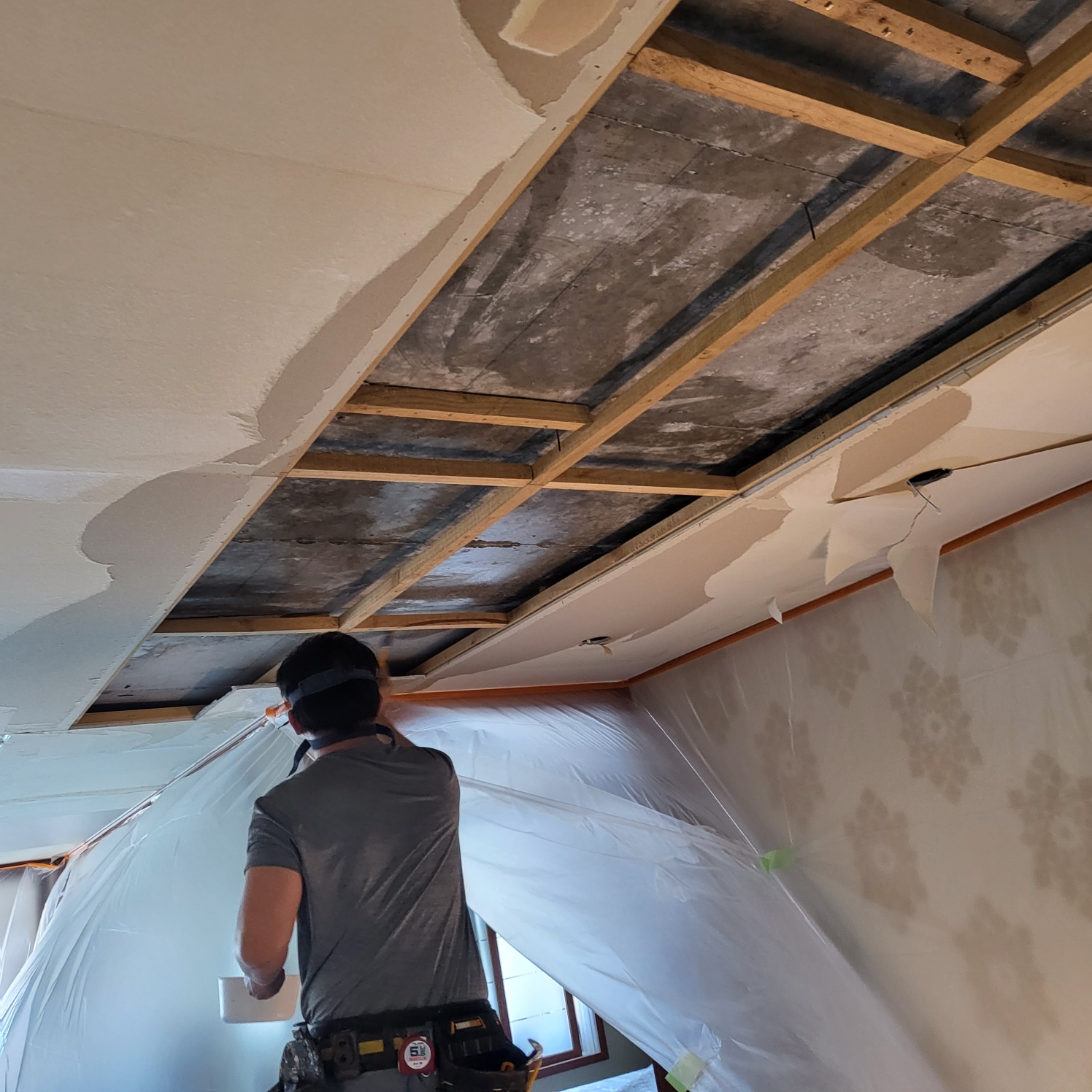 3695294320_2OQf1EFW_d9ec77b05c26b935874c6d852577a4faf50cc3fb.jpg 이미지크게보기