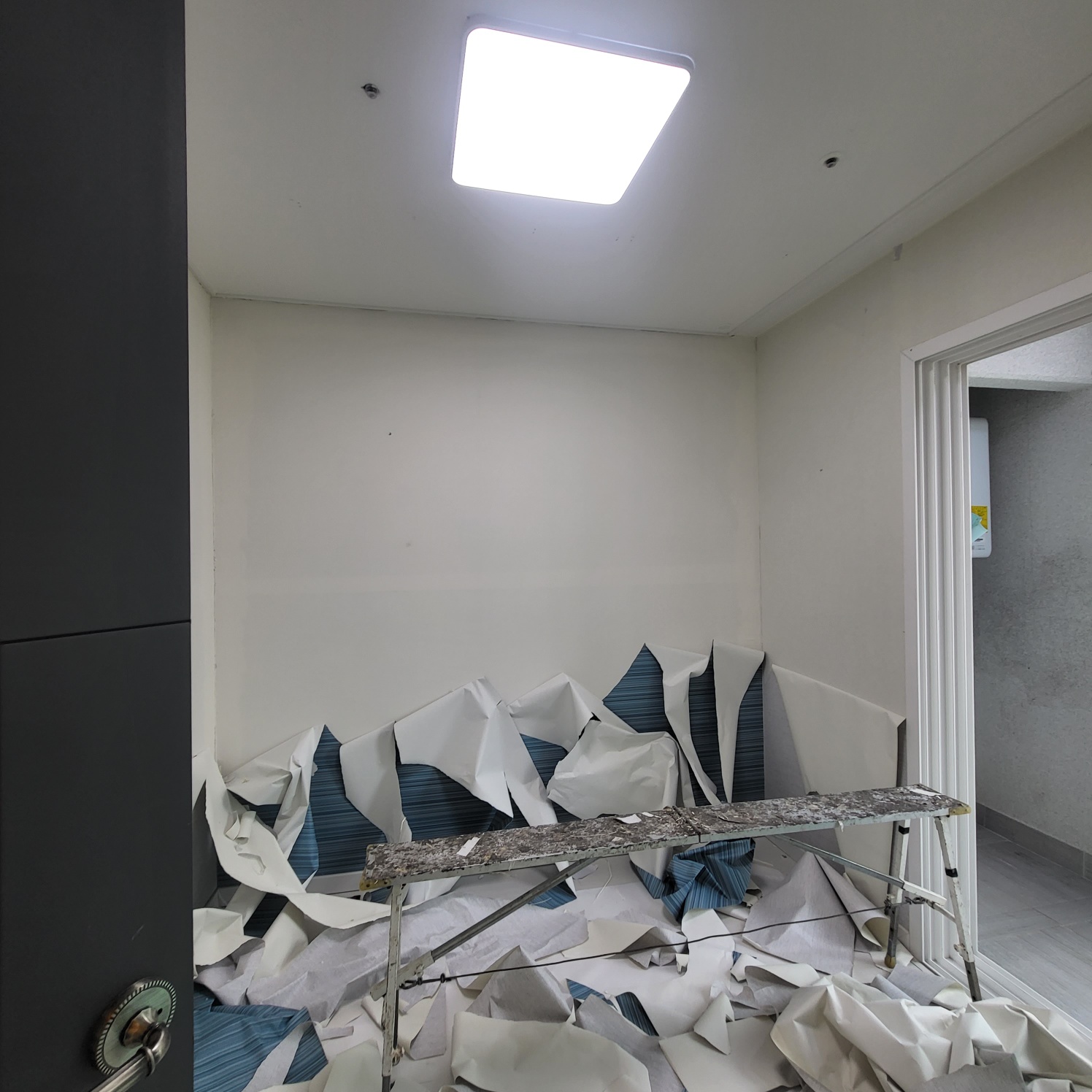 3695294320_5KtkPuGB_3cb2c604fc3bea26d3c9200d3287811613a28ef9.jpg 이미지크게보기