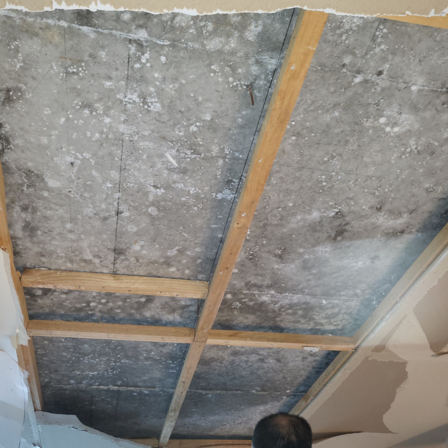 3695294320_6gX91GlE_b6425c14a4af4871624475fdfd7b6021abfc30b2.jpg 이미지크게보기