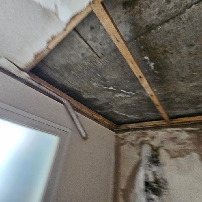 3695294320_9LQylKsa_b695de812bd452e872bc9762a0119763380cfd58.jpg 이미지크게보기