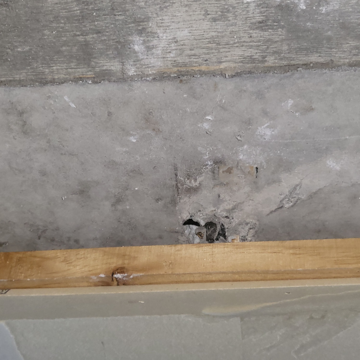 3695294320_AGMZN1I6_6c34e92aab71c2846a137d83ad2eef4b735f4d52.jpg 이미지크게보기