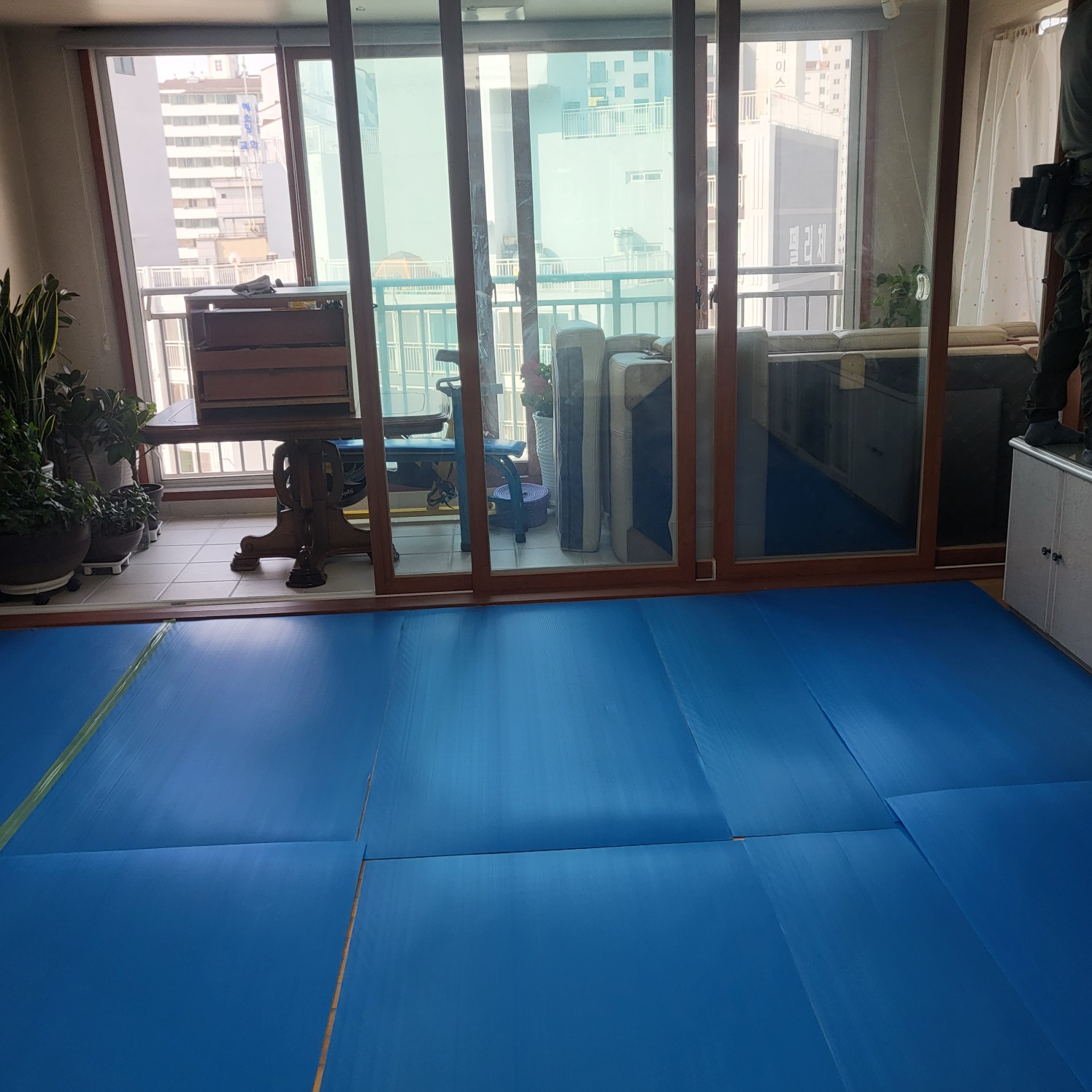 3695294320_awyhZx3G_8ff7f4829b44d59416abe47825a497e3c03a24ed.jpg 이미지크게보기