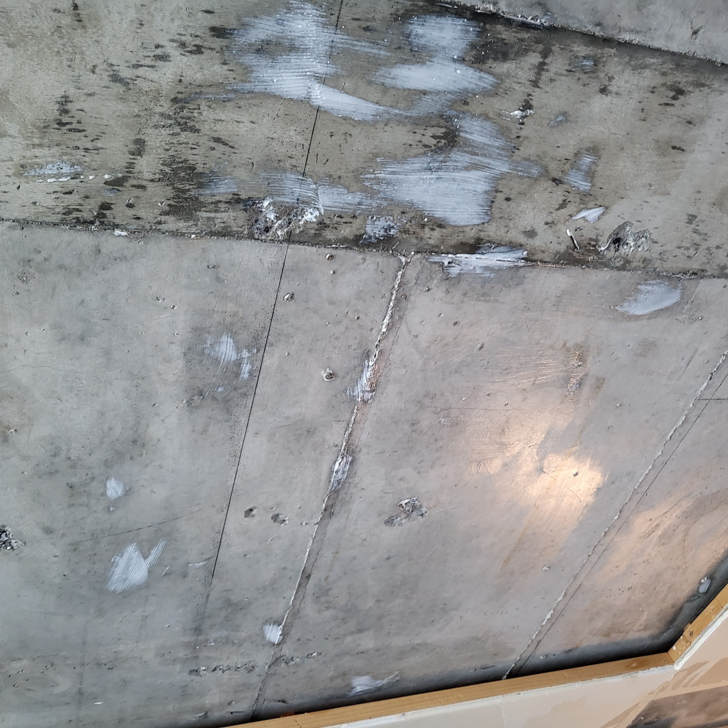 3695294320_jHpmtoGy_f5517bf0d566f7c0120184c736b293138d064d84.jpg 이미지크게보기