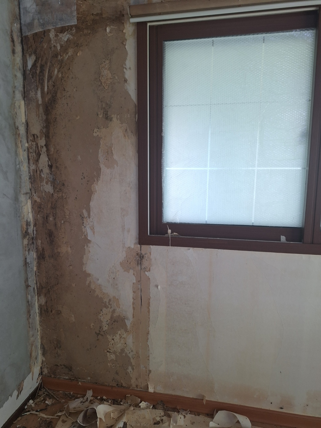 3695294320_mrNIY1O7_0952a40cf5054589aecb7bf0566162d72d436bf2.jpg 이미지크게보기