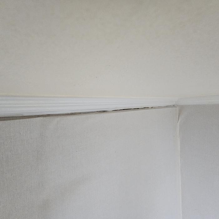 3695294320_nWRIu3r8_cea37e57c08fafedd4b52176380d9da9bc718dda.jpg 이미지크게보기