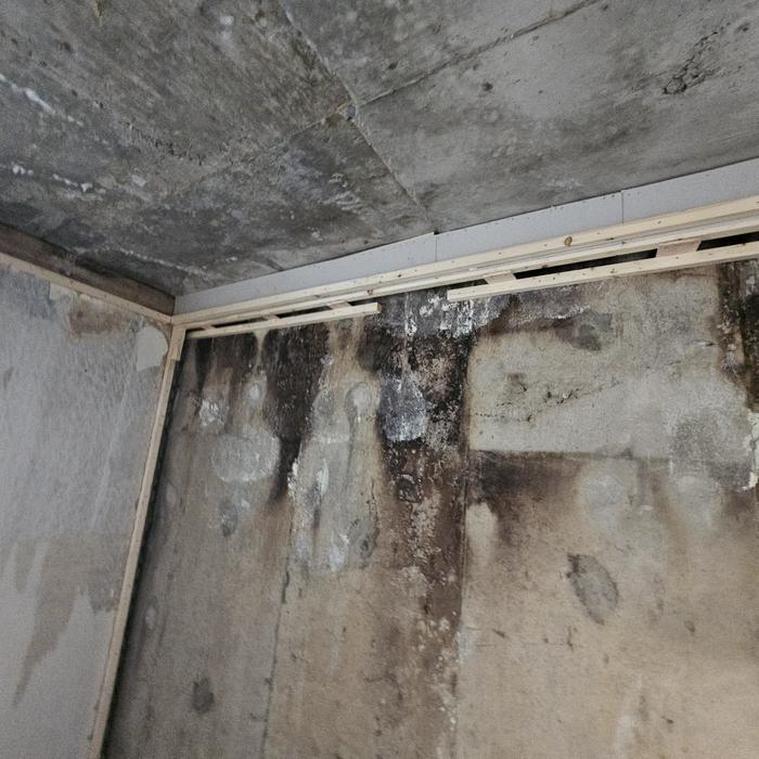 3695294320_qfxCbuIZ_5b5bff61e7fbde2d3568ceecec47970fb87bd3cb.jpg 이미지크게보기