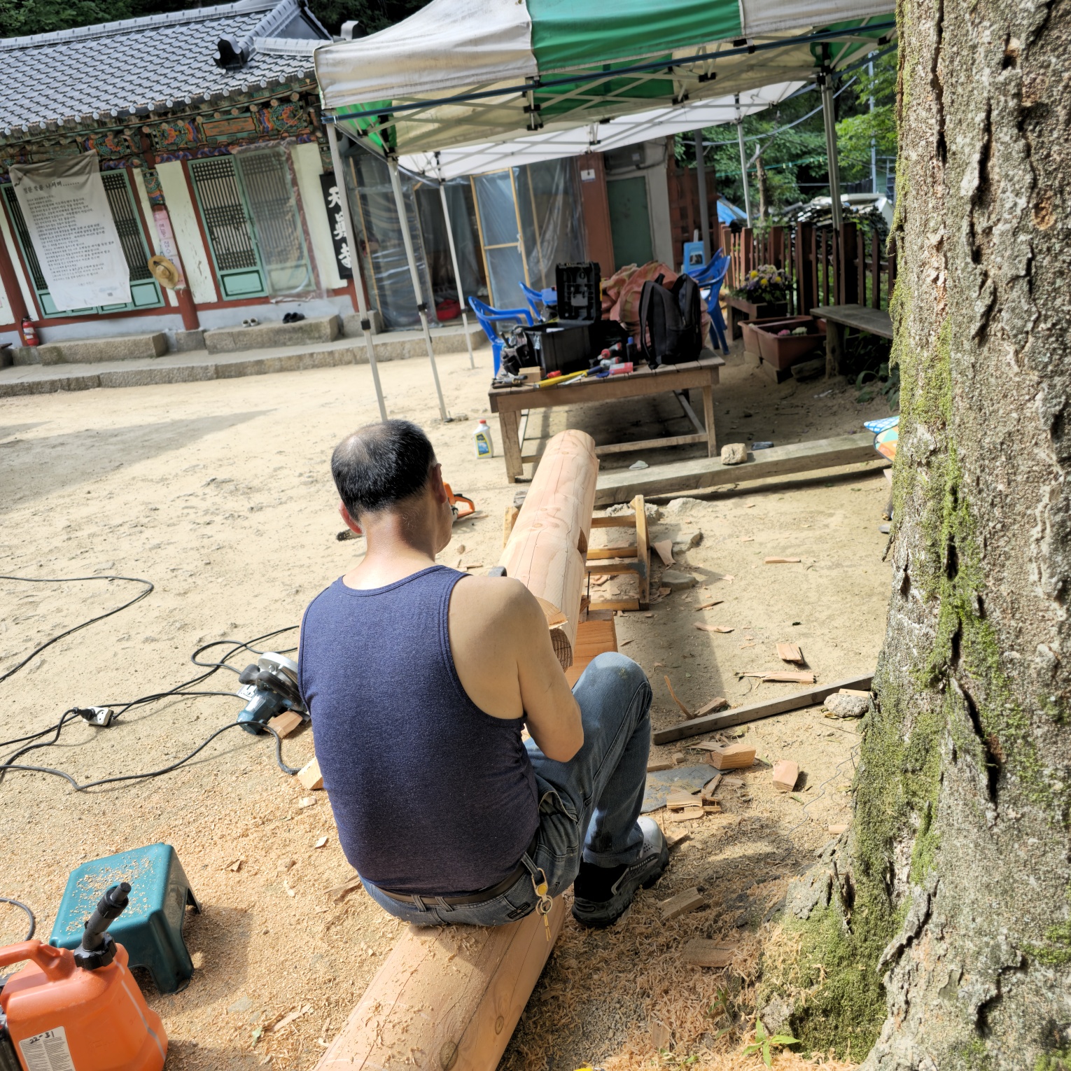 3695294320_wIcGOzxy_0a9d9d6af2e9d5b6bc33009143d5bbb2697cf112.jpg 이미지크게보기