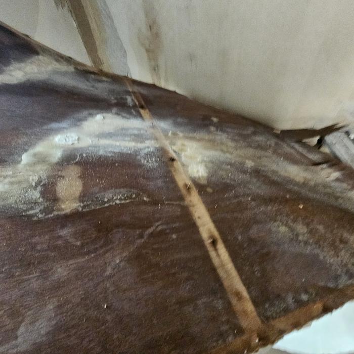 3695294320_wSUDCNEa_bcc3ade93dcb82a1e76e6b43e3aeadbd3afbc5a6.jpg 이미지크게보기